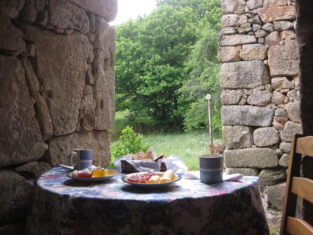 Casas Da Ribeira Guest House Seia Room photo